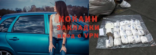 крисы Баксан