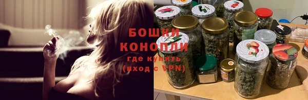 твердый Новодвинск