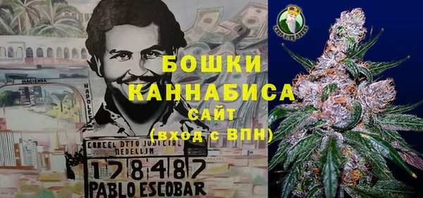 крисы Баксан
