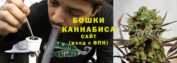 крисы Баксан