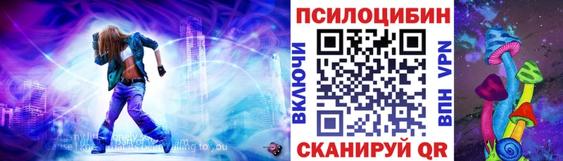 Псилоцибиновые грибы прущие грибы  MEGA ССЫЛКА  Ногинск  купить закладку 